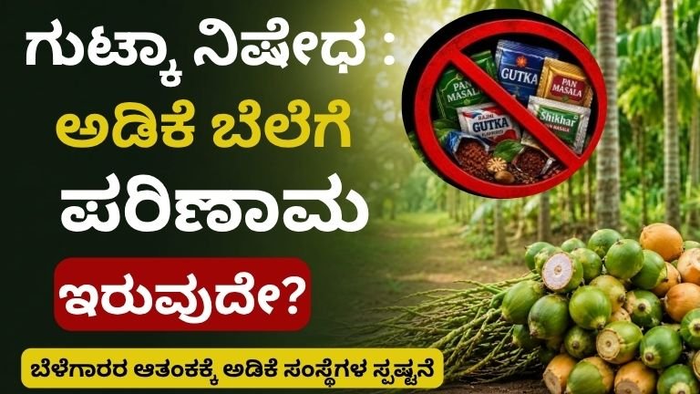 Gutka Ban in Karnataka