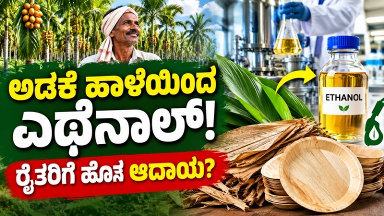 Areca Leaf Ethanol